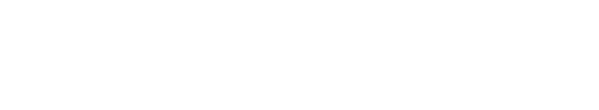 Sasware Logo
